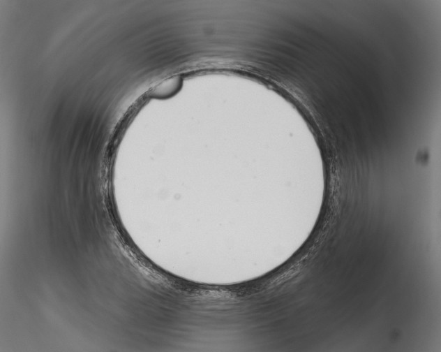 X0000114571119200911301305