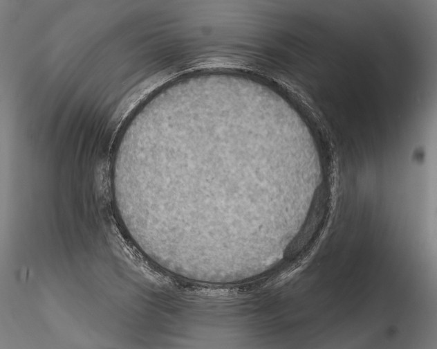 X0000114571121200911301305