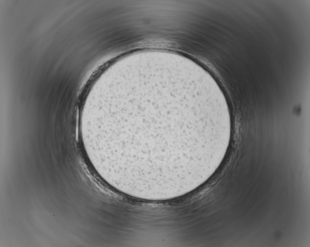 X0000114571123200911301305