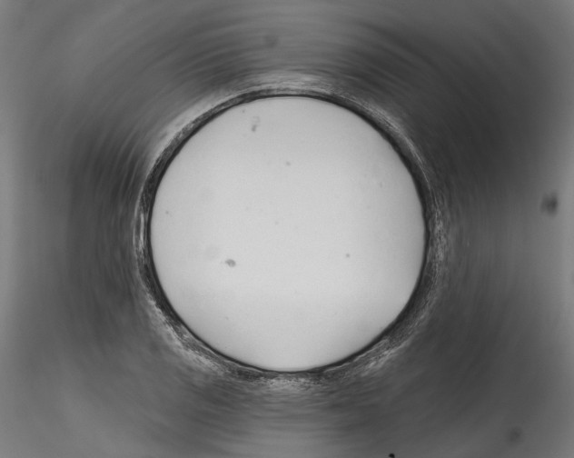 X0000114571125200911301305