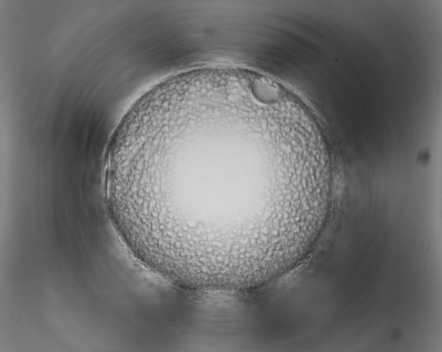 X0000114571126200911301305