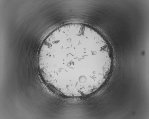 X0000114571129200911301305