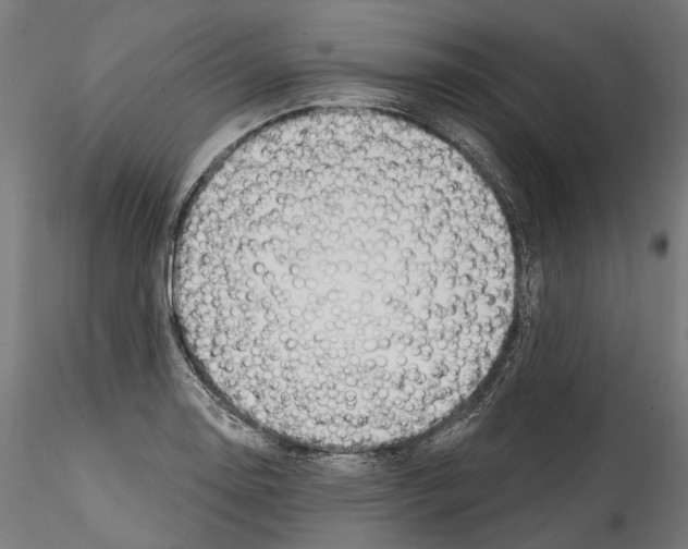 X0000114571130200911301305