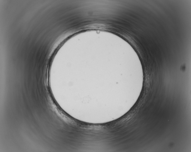 X0000114571131200911301305