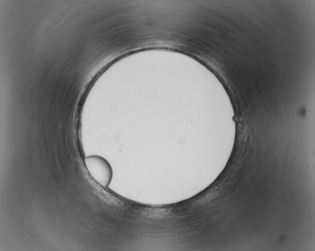 X0000114571135200911301305