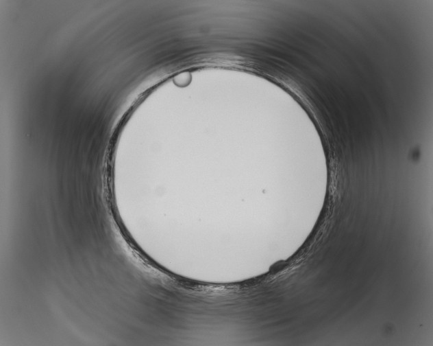 X0000114571139200911301305