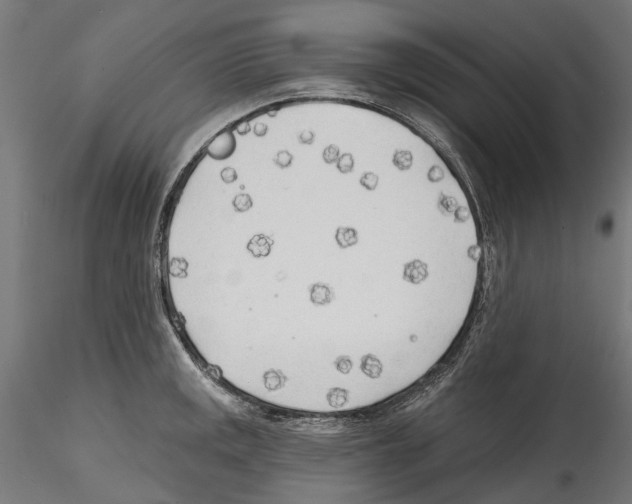 X0000114571141200911301305