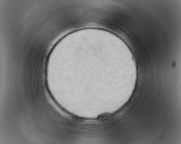 X0000114571142200911301305