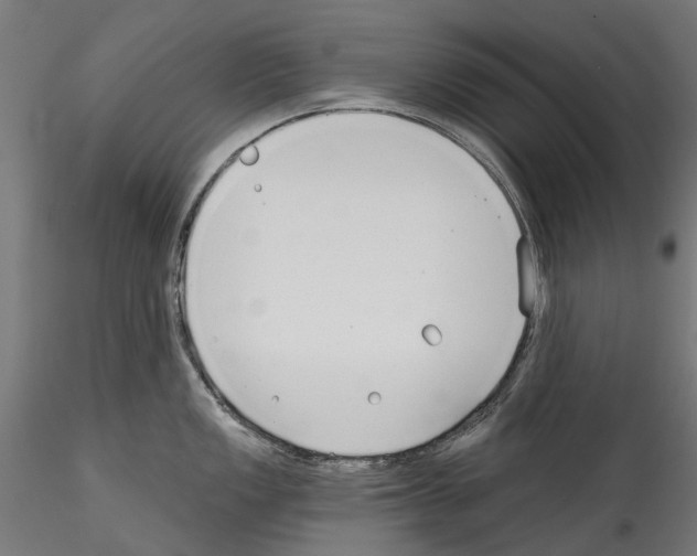 X0000114571149200911301306