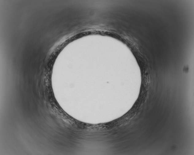 X0000114571159200911301305