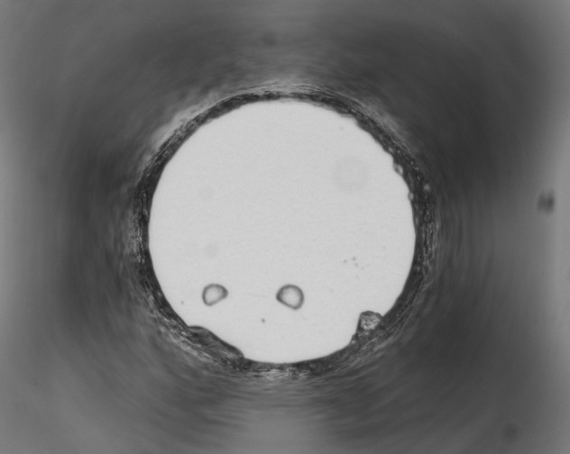 X0000114571160200911301305