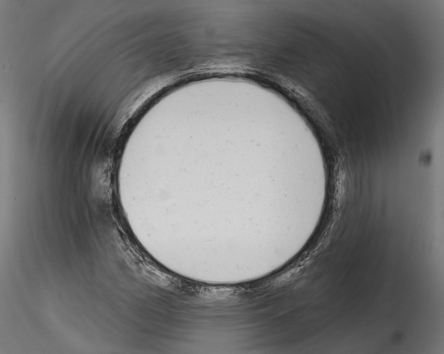 X0000114571162200911301305