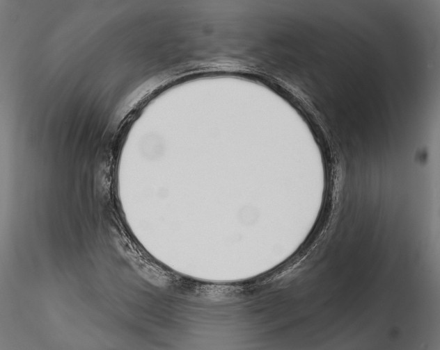 X0000114571163200911301305