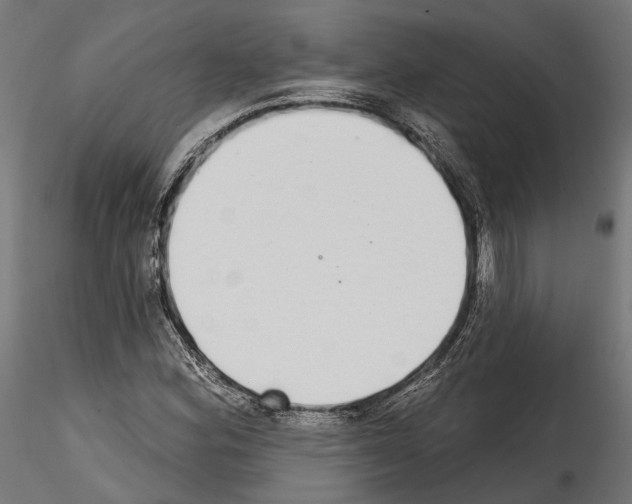 X0000114571164200911301305