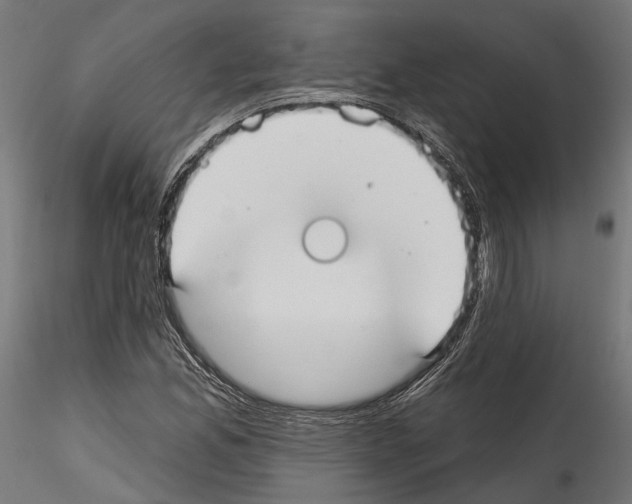 X0000114571165200911301305