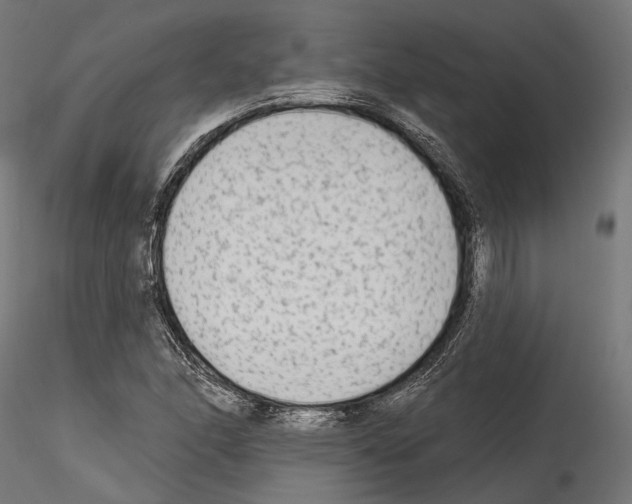 X0000114571166200911301305