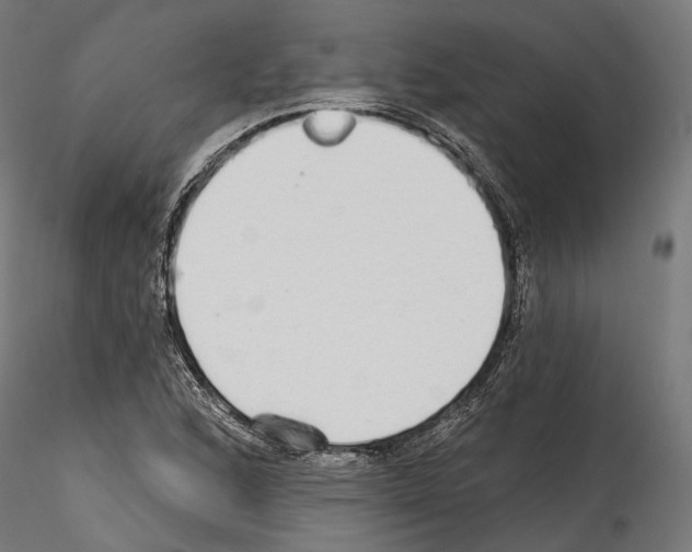 X0000114571168200911301305