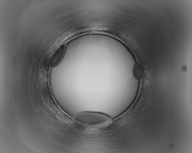 X0000114571169200911301305