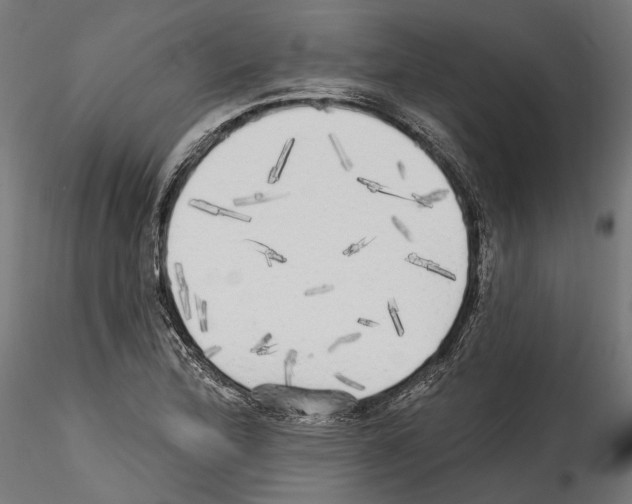 X0000114571172200911301305