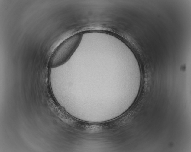 X0000114571173200911301305