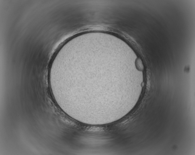 X0000114571174200911301305