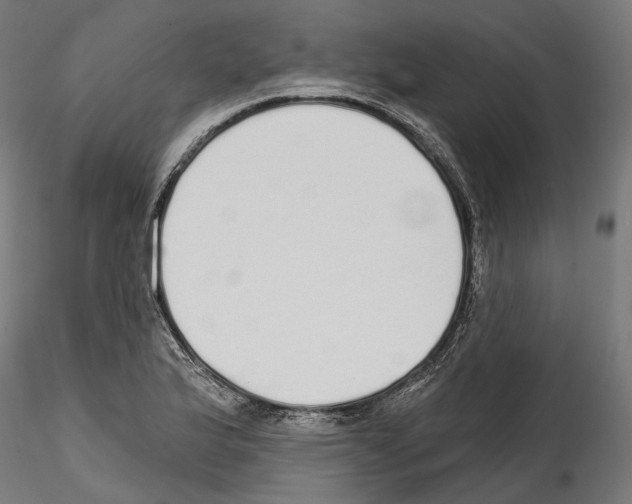 X0000114571175200911301305