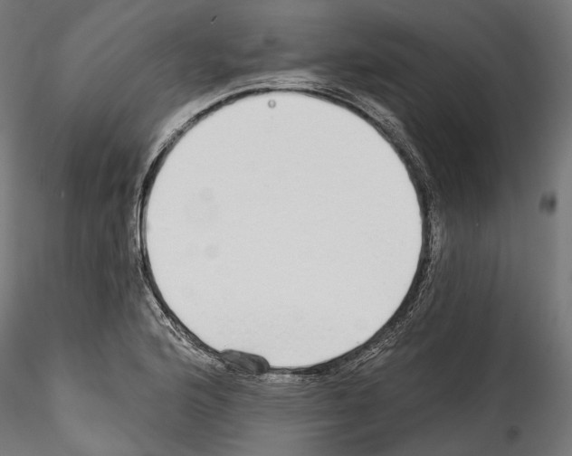 X0000114571176200911301305