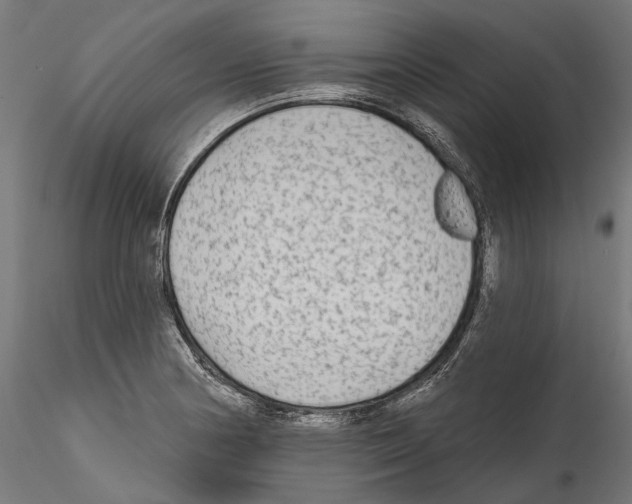 X0000114571178200911301305