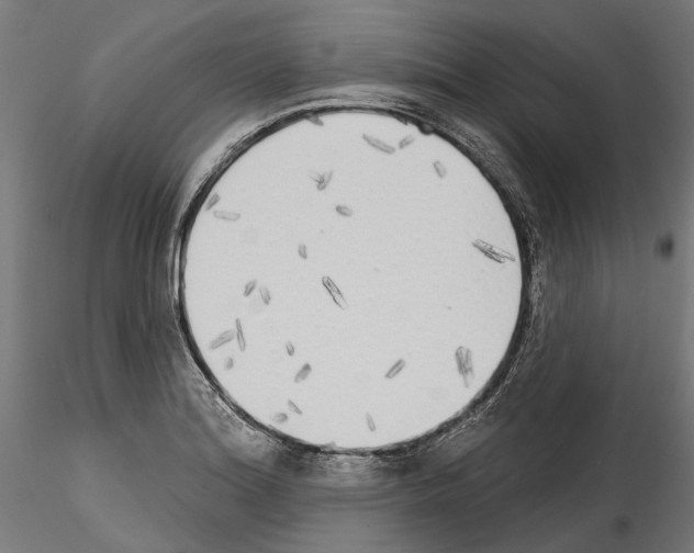 X0000114571180200911301305