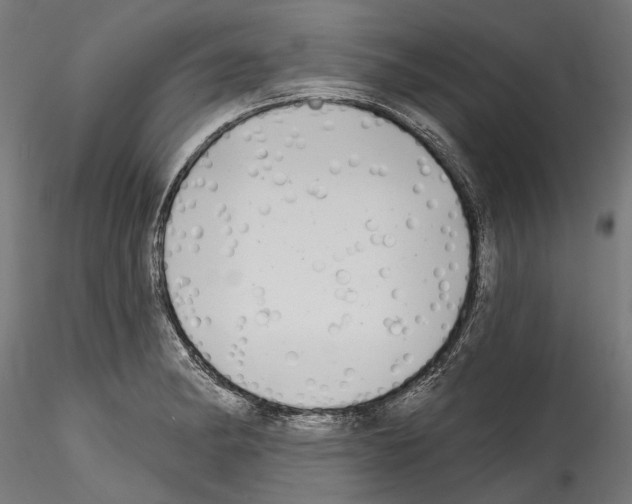 X0000114571182200911301305