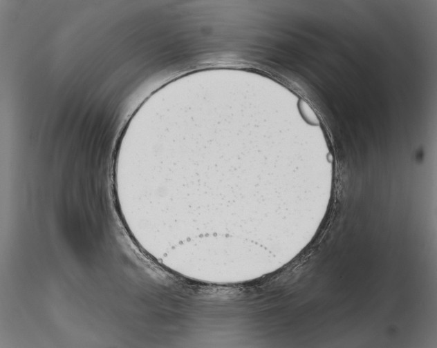 X0000114571187200911301304