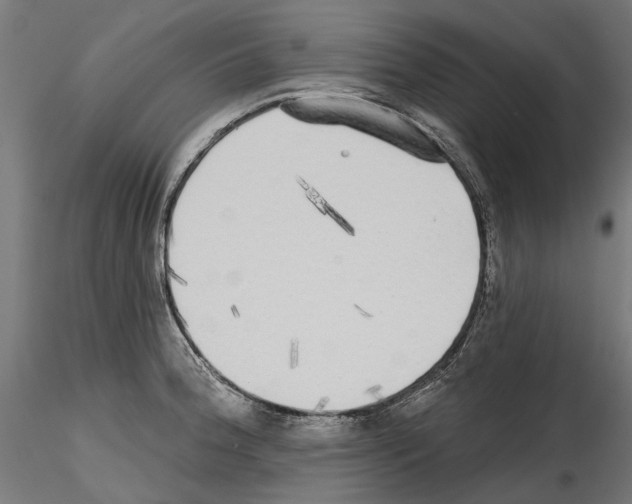 X0000114571188200911301304