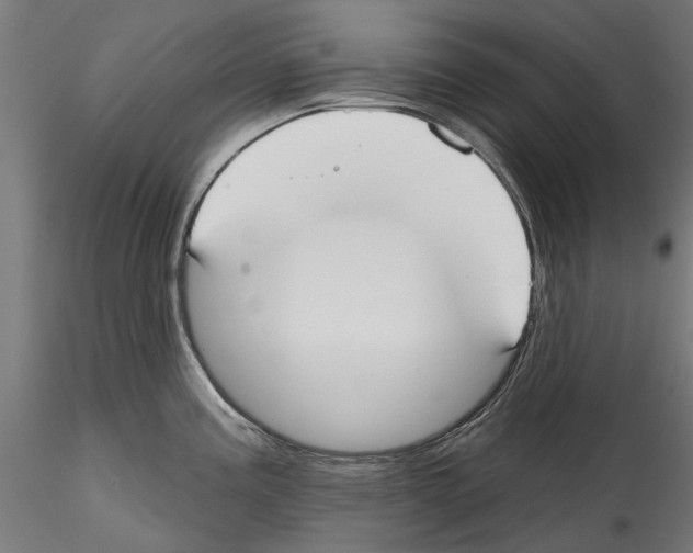 X0000114571195200911301304