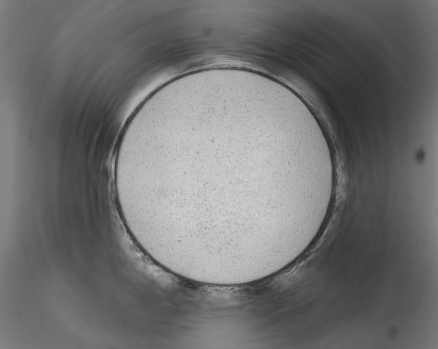 X0000114571198200911301304