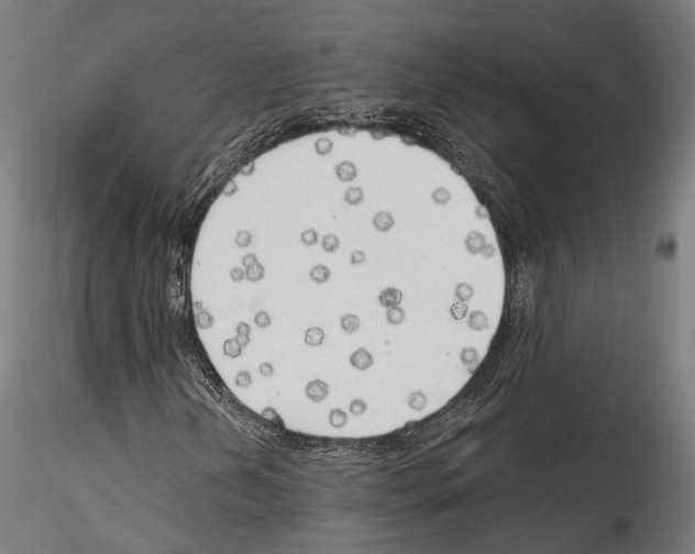 X0000114571202200911301304