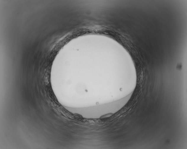 X0000114571205200911301304