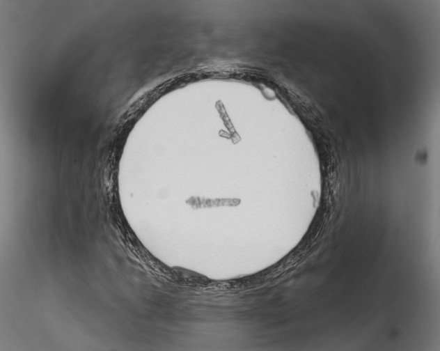 X0000114571206200911301304