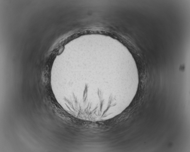 X0000114571207200911301304