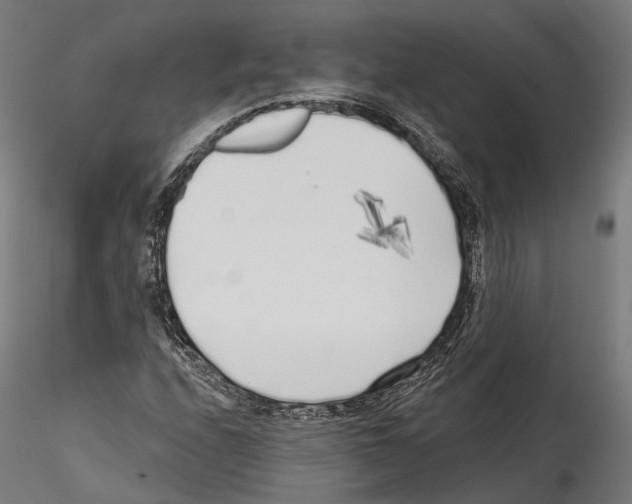 X0000114571208200911301304