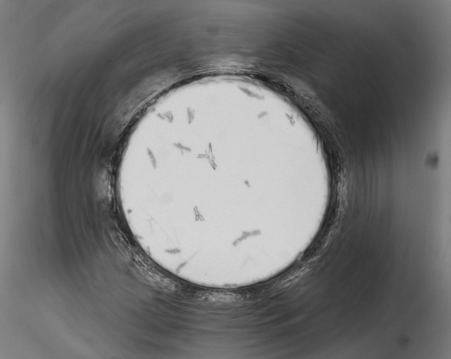 X0000114571209200911301304