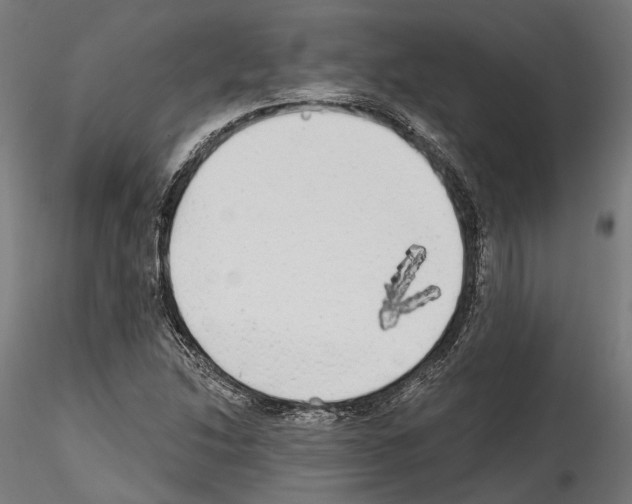 X0000114571214200911301304