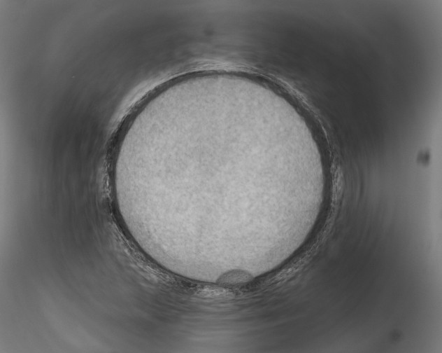 X0000114571215200911301304