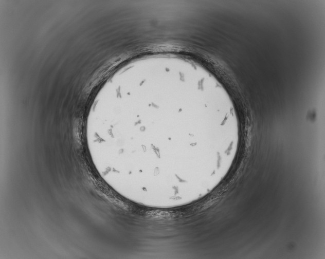 X0000114571217200911301304