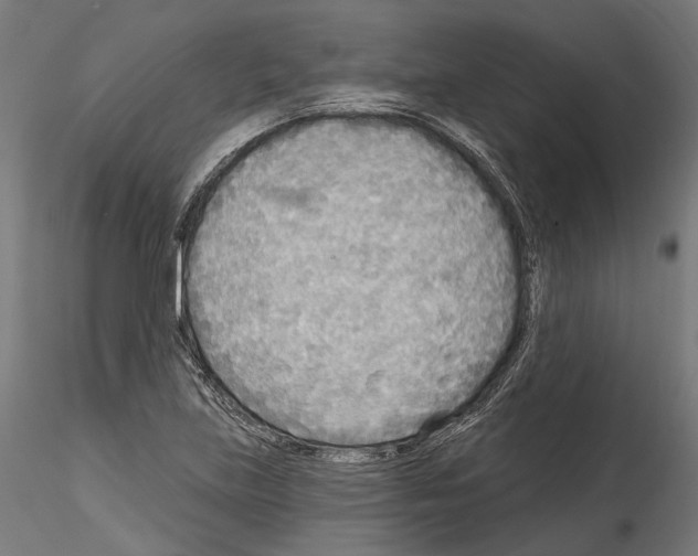 X0000114571219200911301304