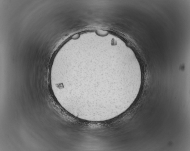 X0000114571220200911301304