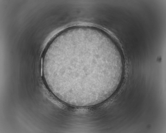 X0000114571223200911301304