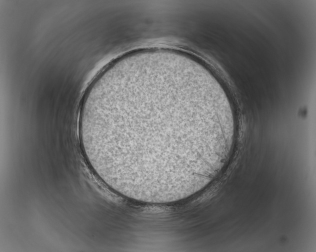 X0000114571224200911301304