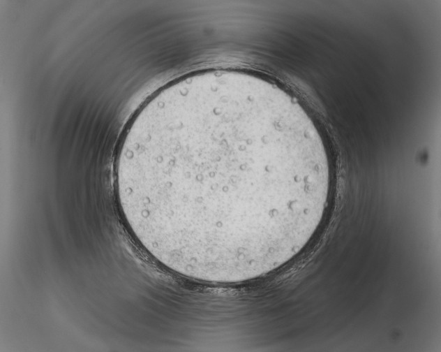 X0000114571226200911301304