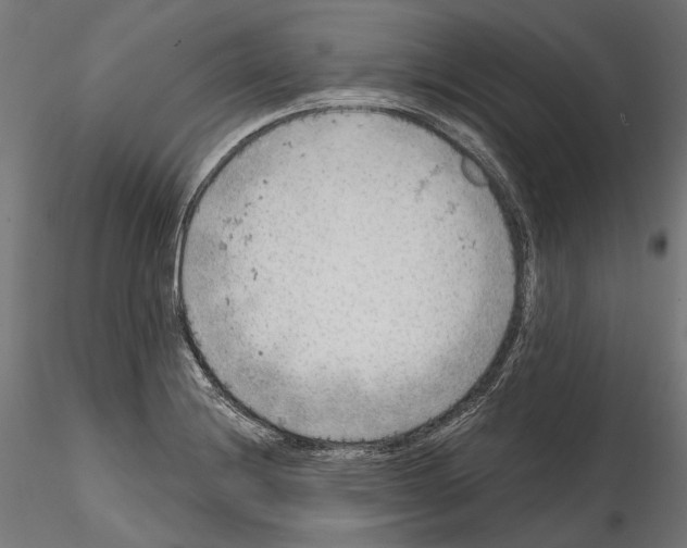 X0000114571228200911301304