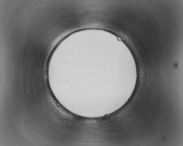 X0000114571230200911301304